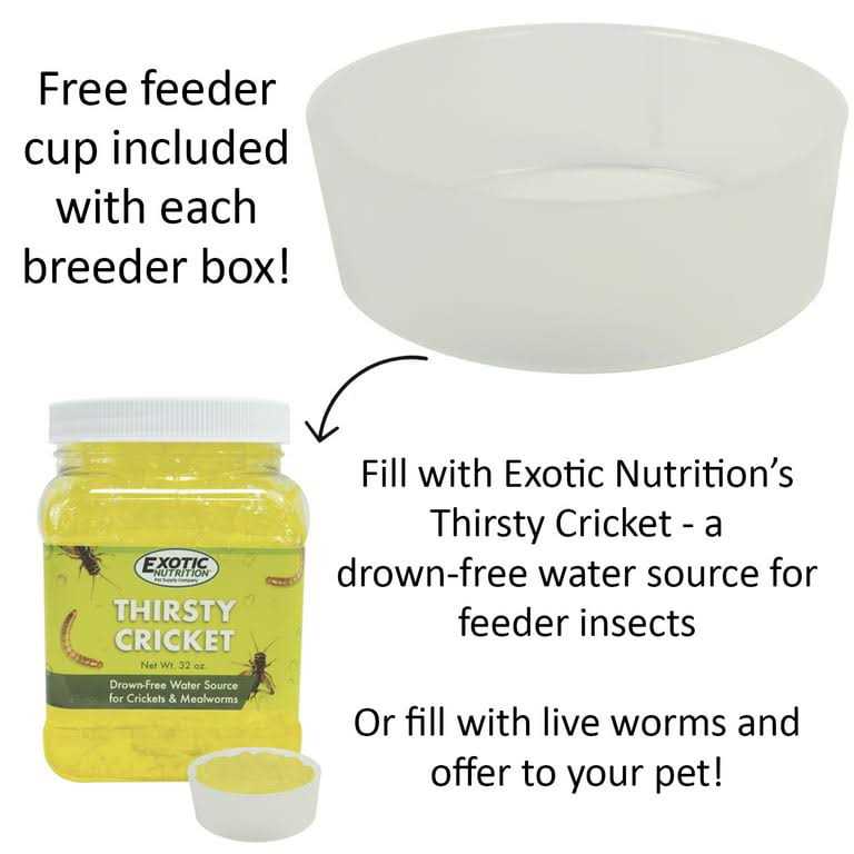 Mealworm Breeder Kit U677898
