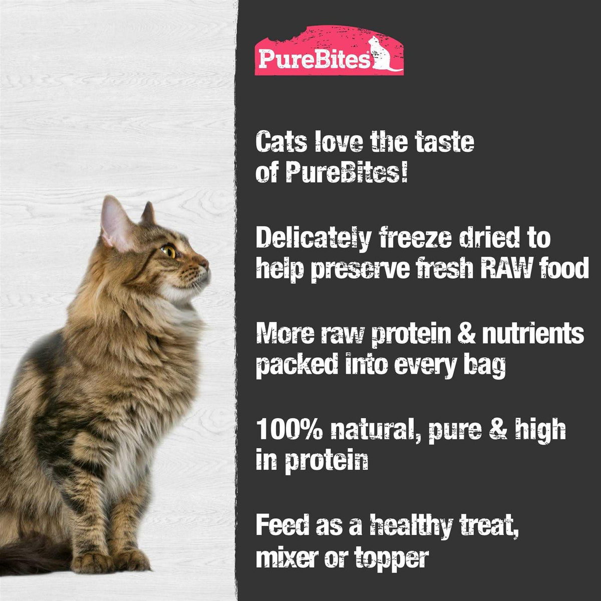 Freeze Dried Shrimp Cat Treats R724