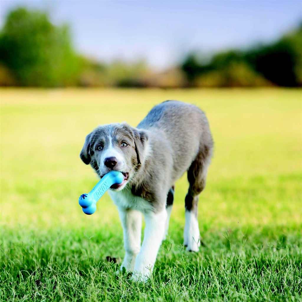 Puppy Toy W673932