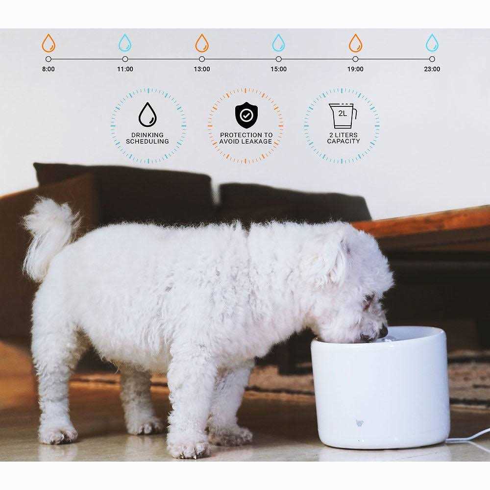 Smart Pet Water Fountain Z10291