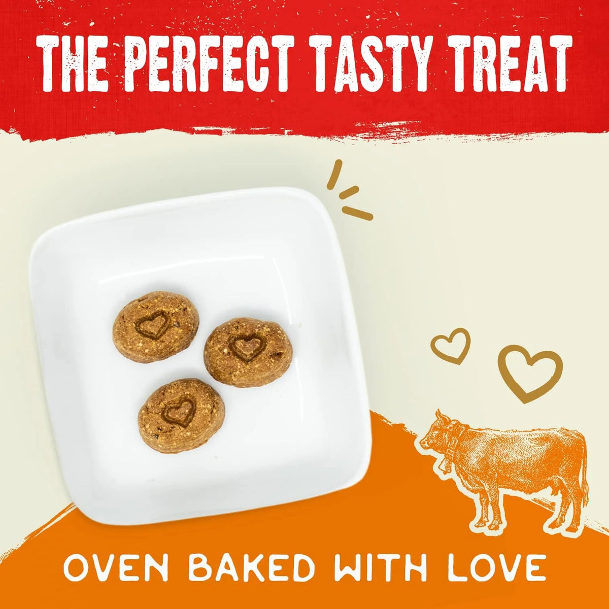 Freeze-Dried Raw Coated Grain Free Dog Biscuits 9 oz Bag X901