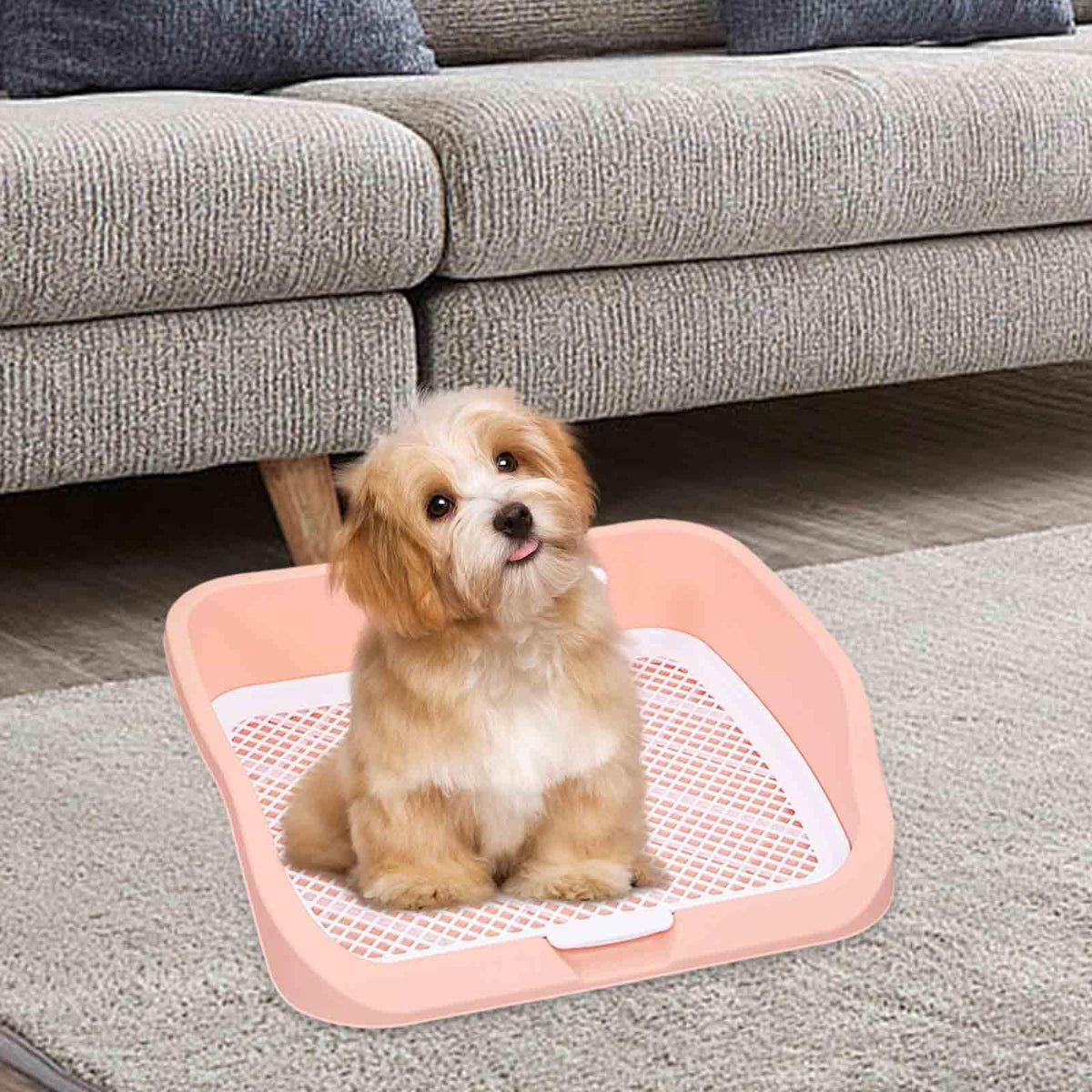 Pet Toilet Training Holder with Dog Potty Pad A157