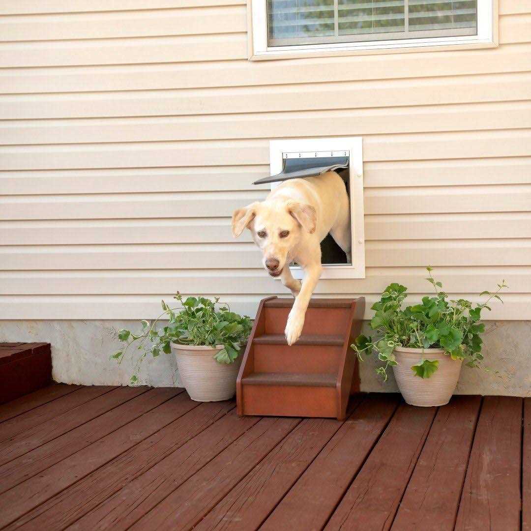 Wall Entry Pet Door O245