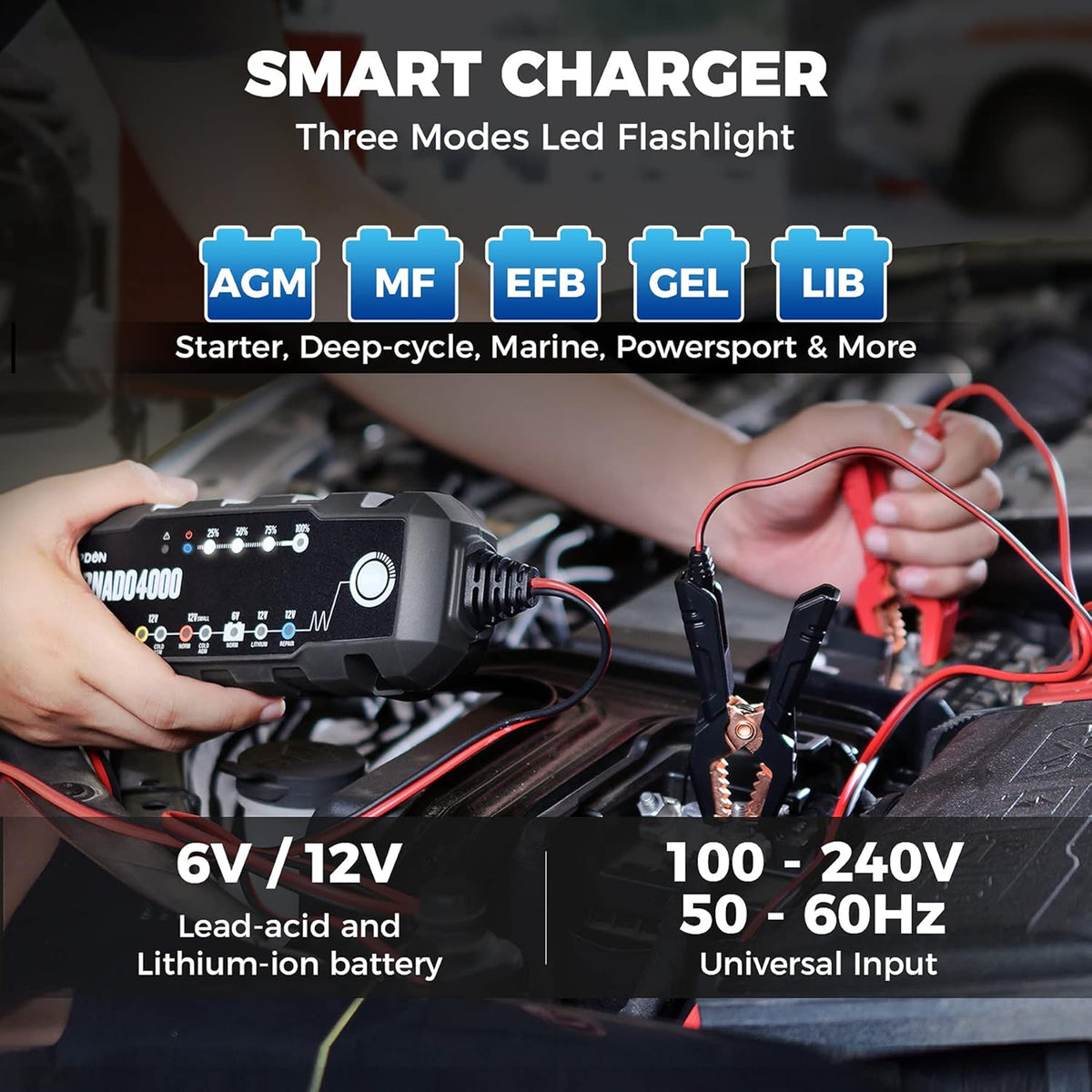 4A/1A 6V/12V Smart Battery Maintainer Desulfator for Lead-Acid/Lithium ion Batteries, Pack of 2 W561685