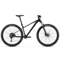 Mountain Bike P133
