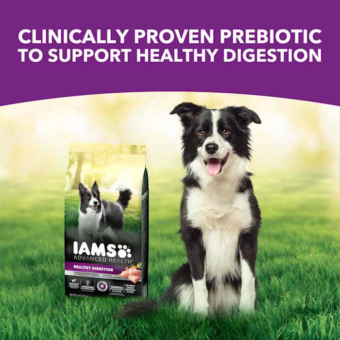 Healthy Digestion Dry Dog Food with Real Chicken T82816