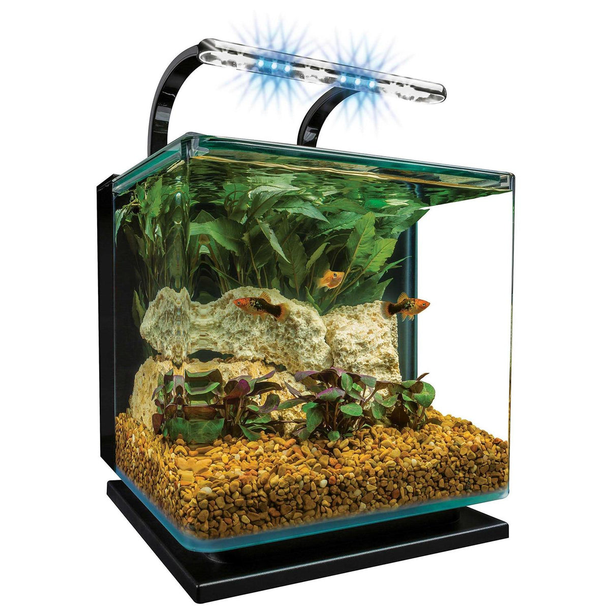 5 Gallon Kit G348