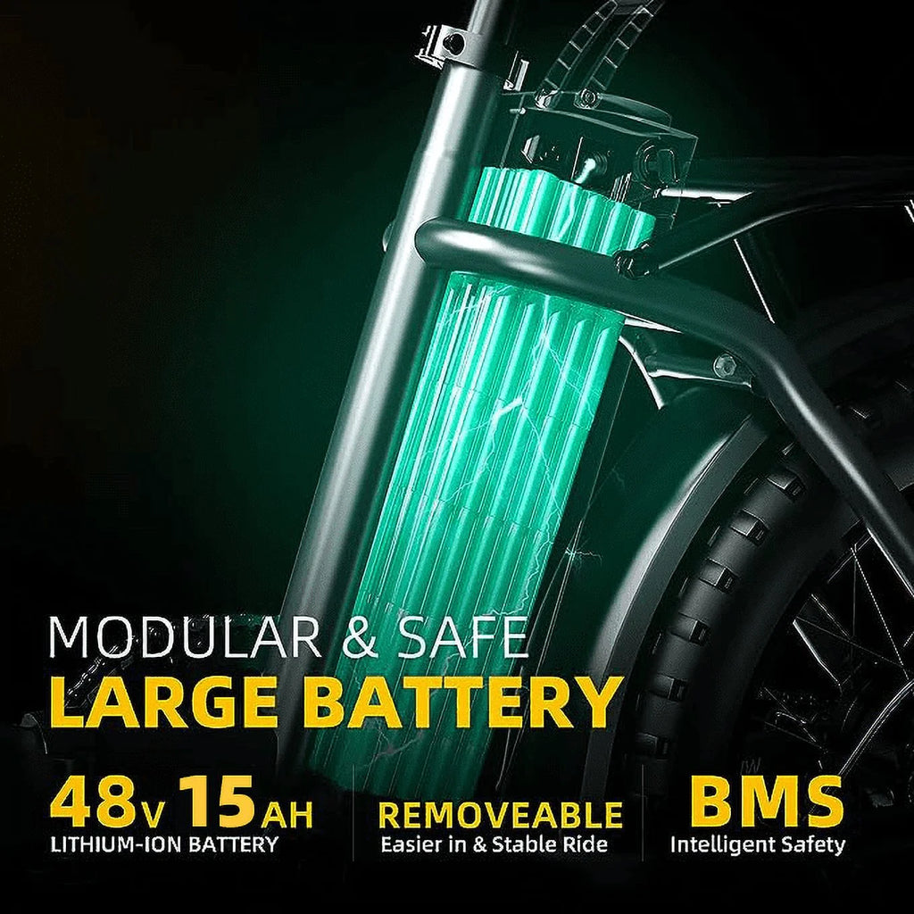Electric Bike 750W Motor 20 Fat Tire 48V 15Ah Battery G2107