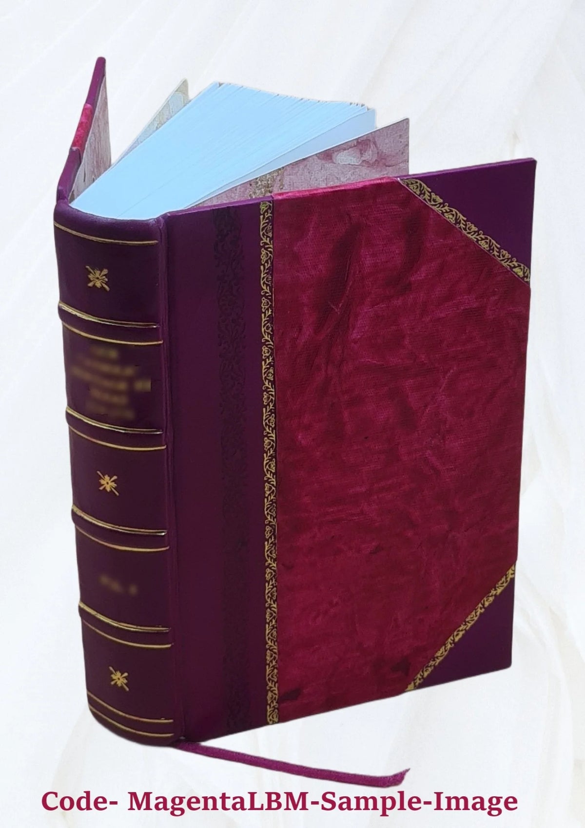 Leather Bound Book F39257