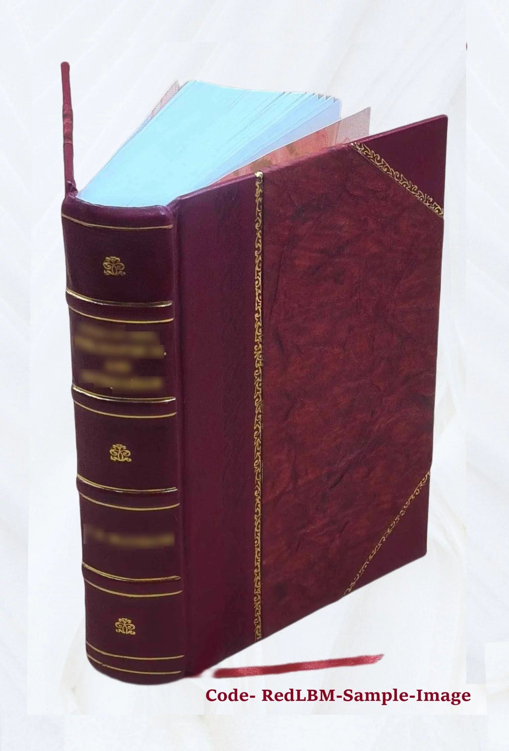 Leather Bound Book F39257