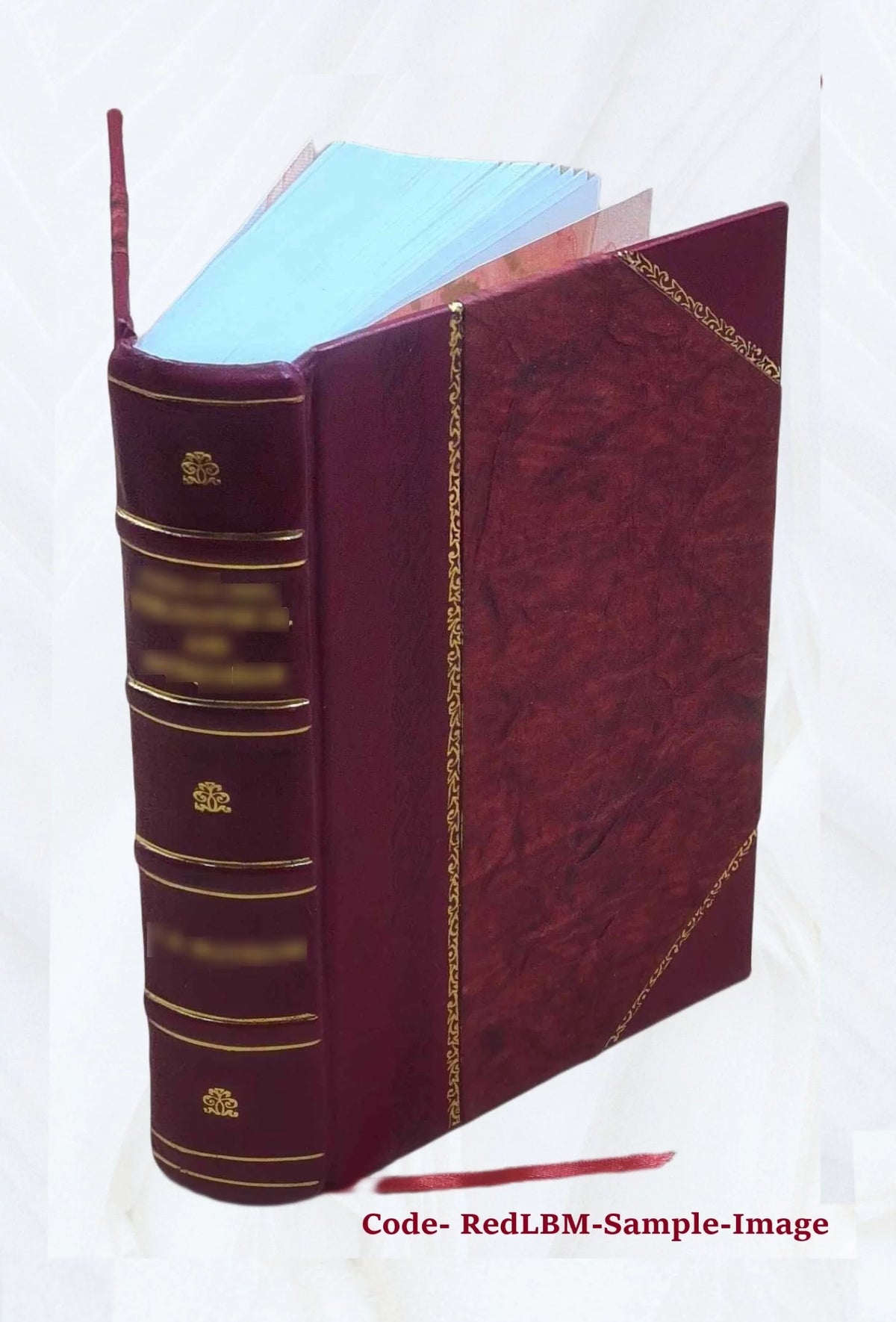 Leather Bound Book F39257