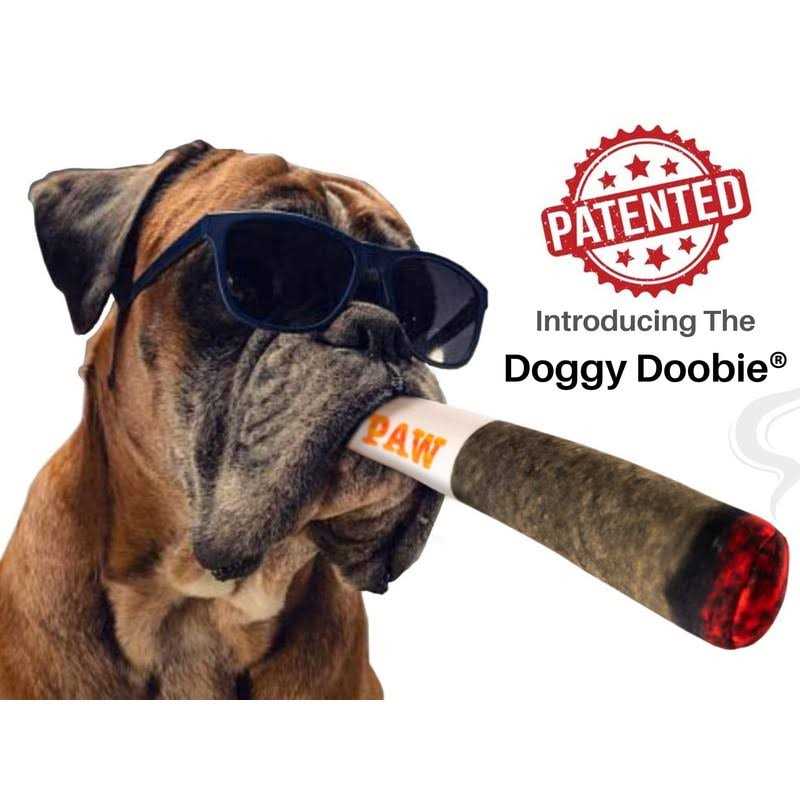 Plush Squeaky Dog Toys U660