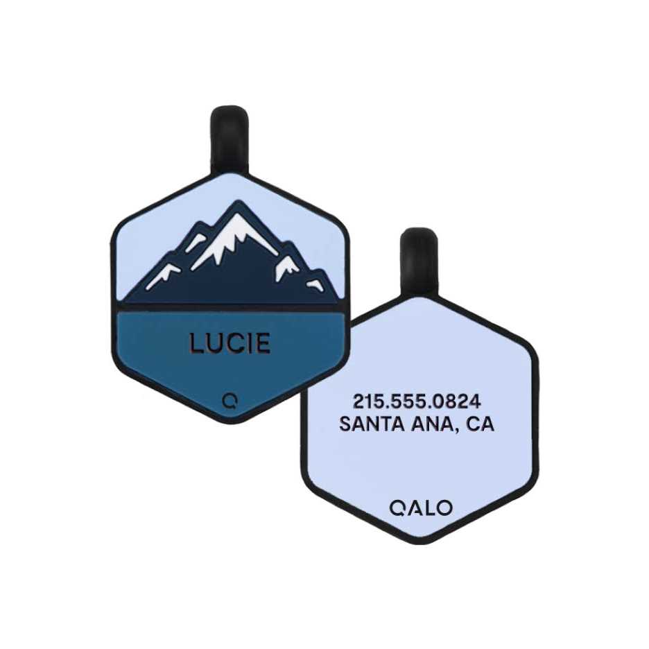 Silicone Dog ID Tag H11966
