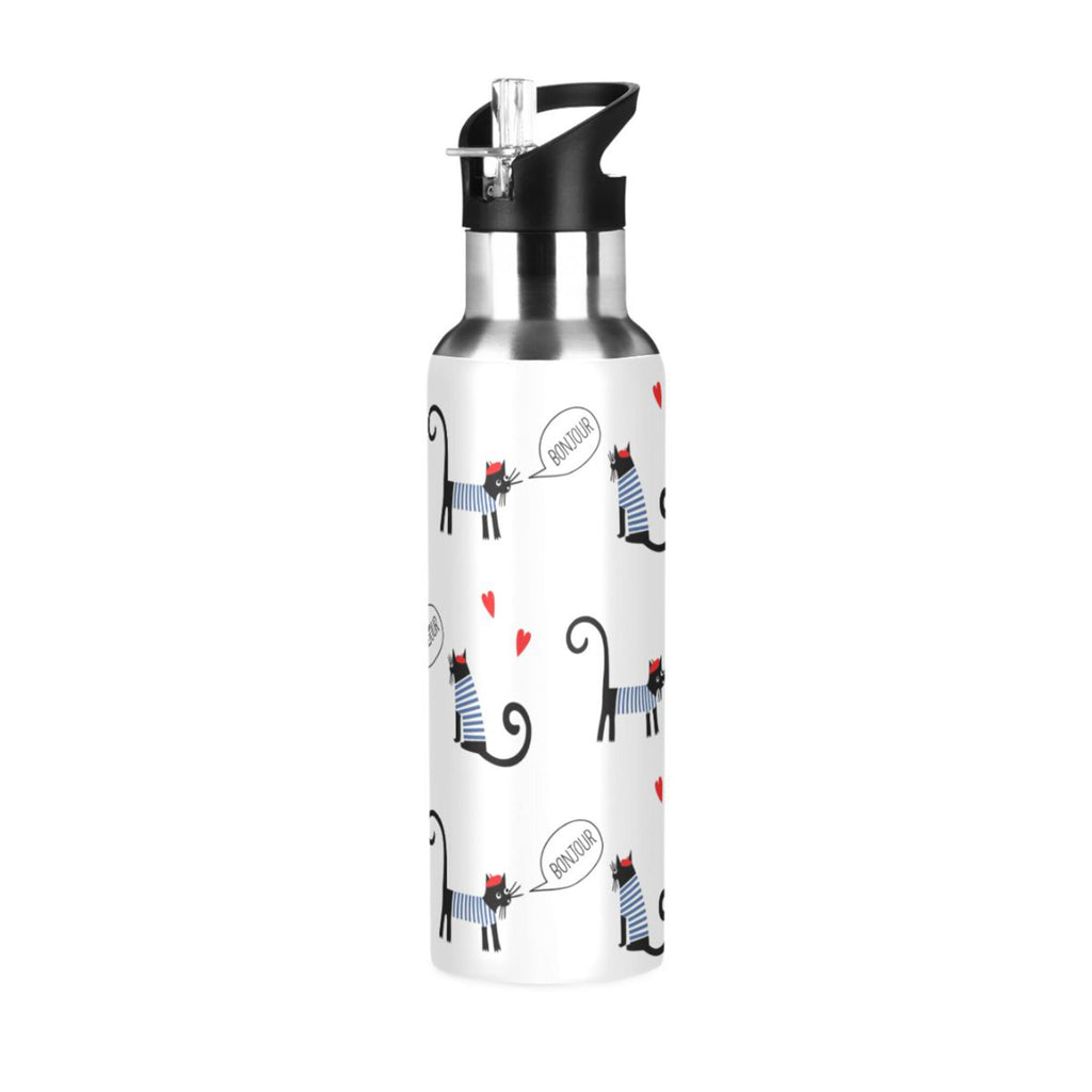Stainless Steel Insulated Water Bottle with Straw Lid Q4790