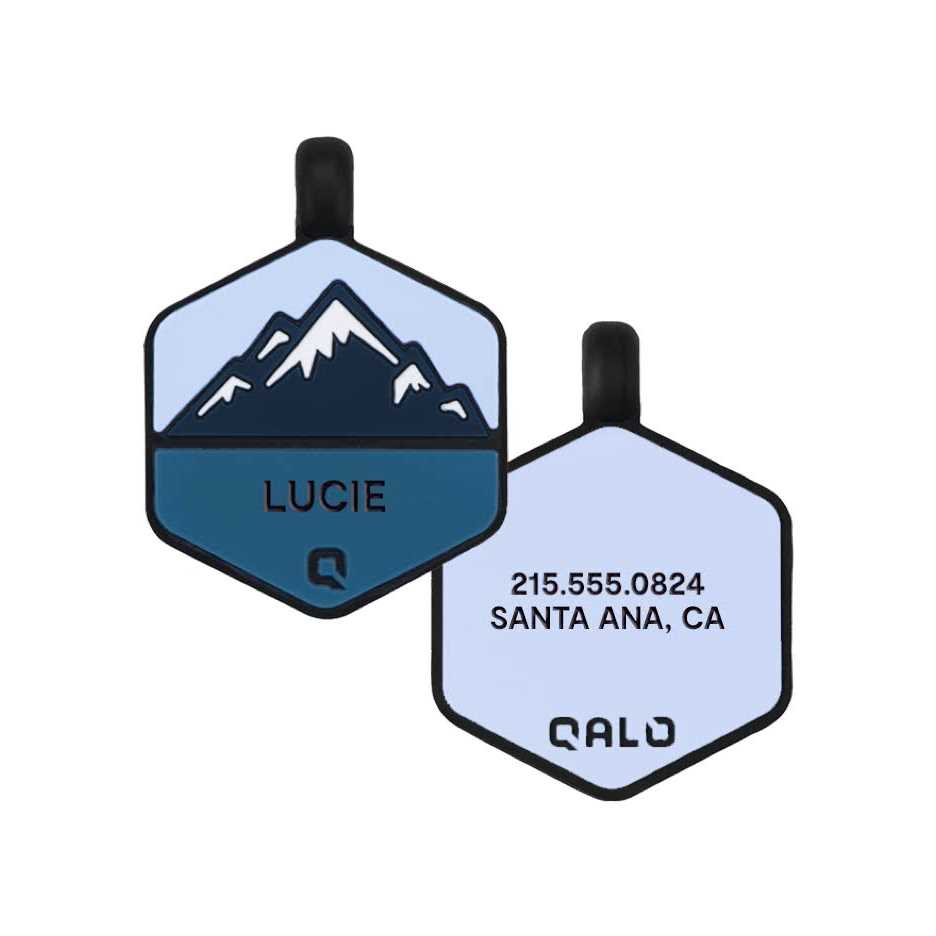 Silicone Dog ID Tag H11966