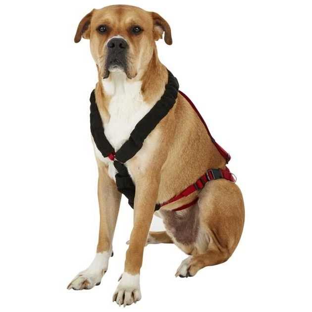 One Harness K80467