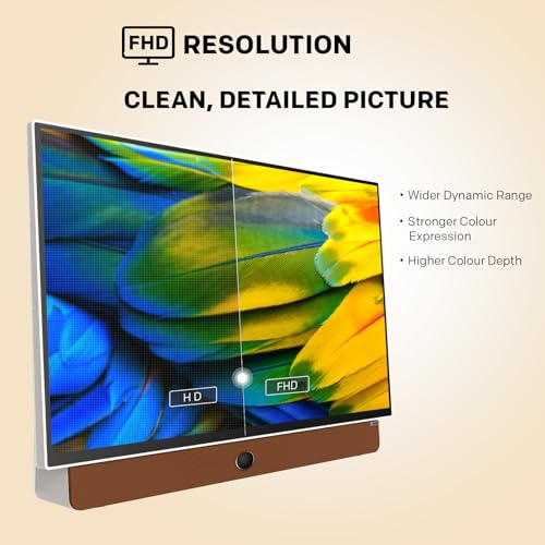 24-Inch Portable Smart Screen with Google TV, 3-Hour Battery Life, 1080P FHD, Matte Screen, HDR10, Dolby Audio, LED, Bluetooth F463