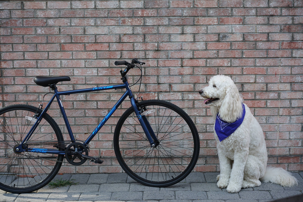 Blue 700c Fixie Bike N827347