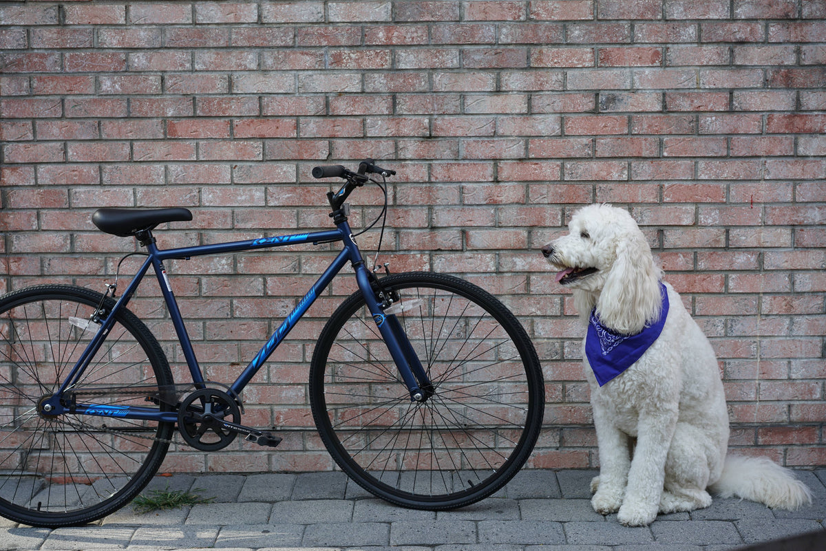 Blue 700c Fixie Bike N827347