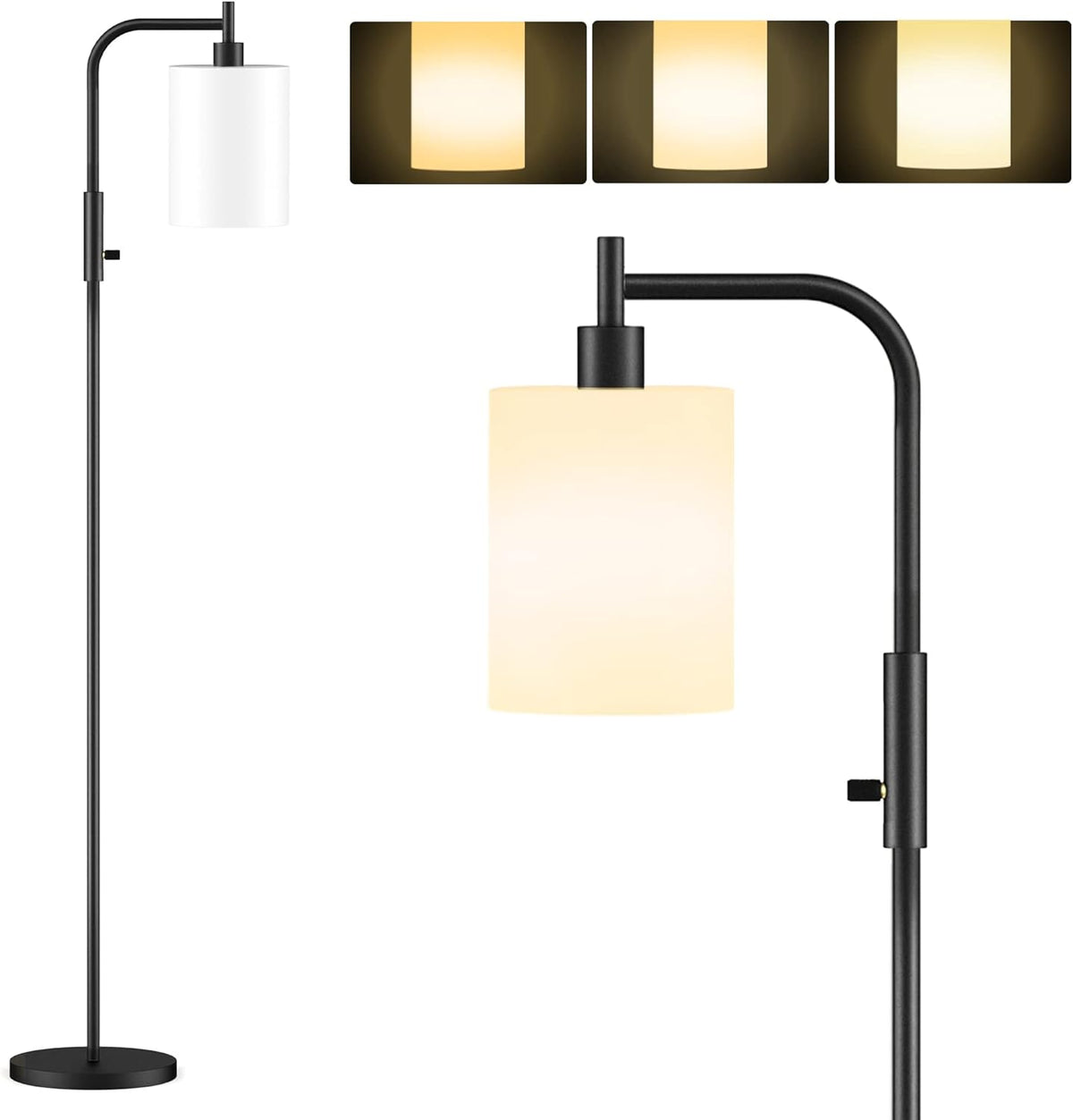 Black Dimmable Glass Shade Floor Lamp P2516
