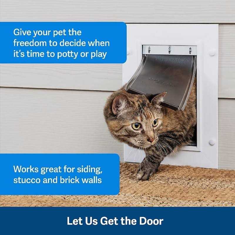Wall Entry Pet Door O245
