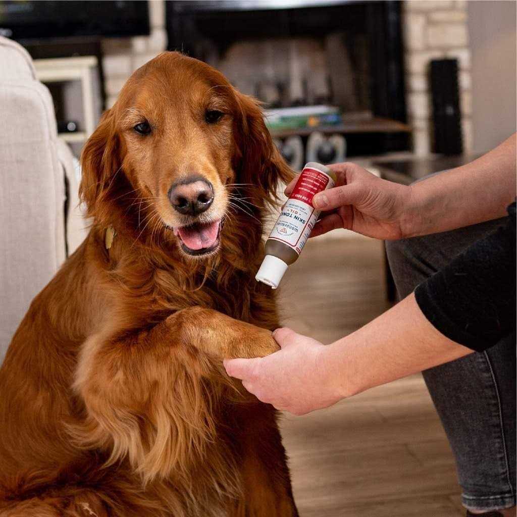 Pet Itch Spray B625