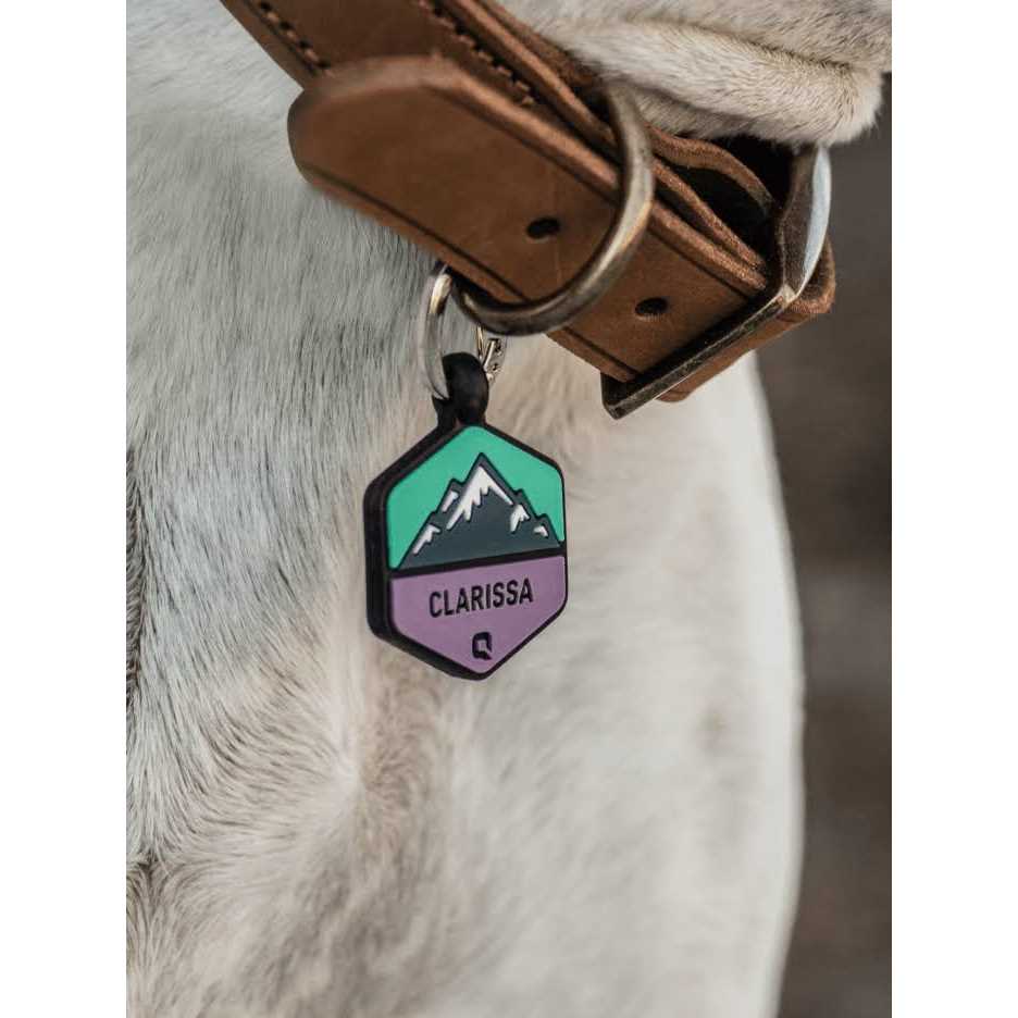Silicone Dog ID Tag H11966