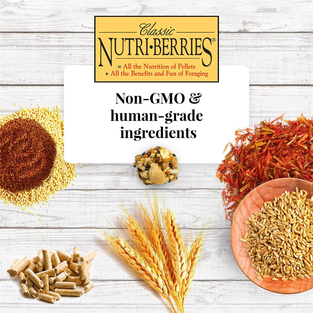 Nutri Berries Food L61584