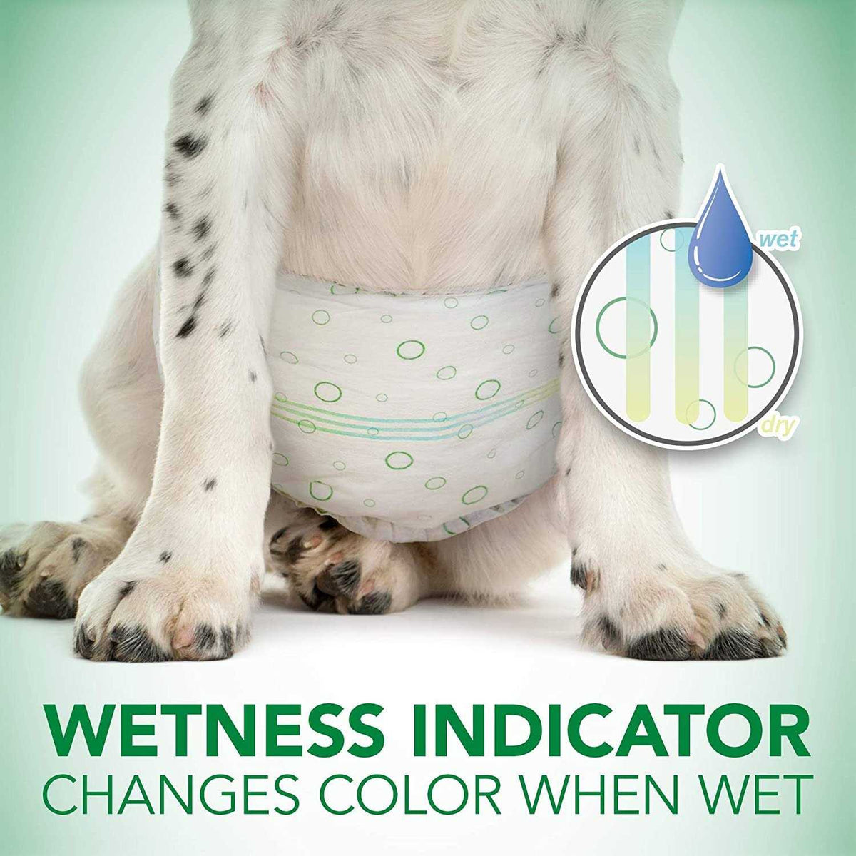 Disposable Male Dog Wraps R280