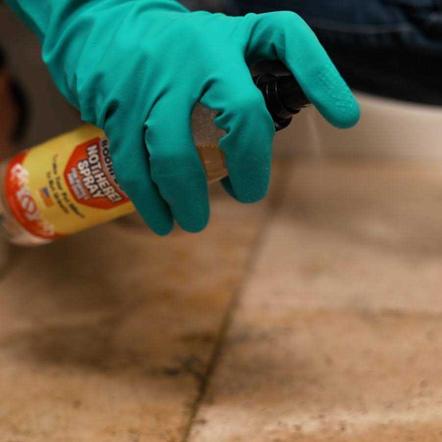 Dog Training Spray I905217