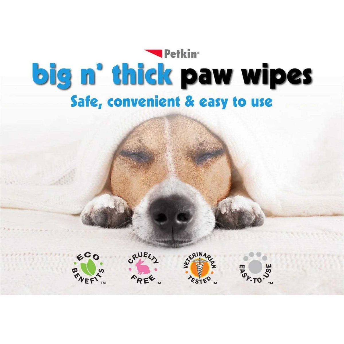Pet Wipes 100 R1609