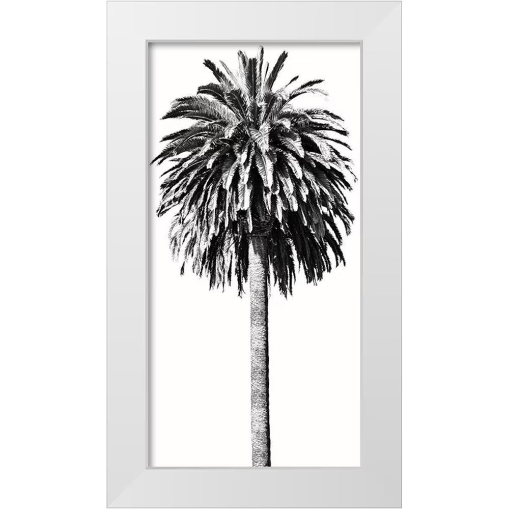 White 18x32 Wood Framed Museum Art Print V652584