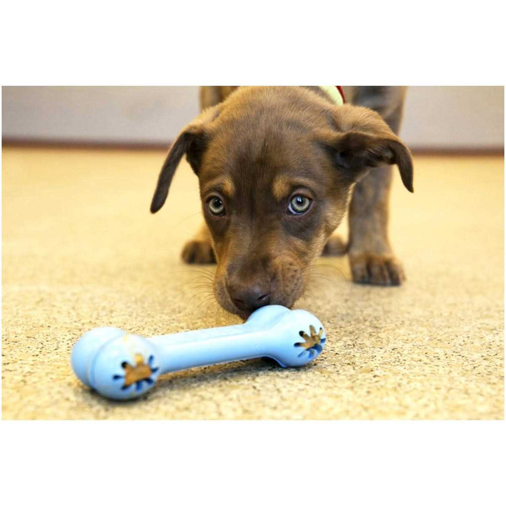 Puppy Toy W673932