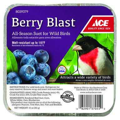 Beef Suet 11 oz T5436