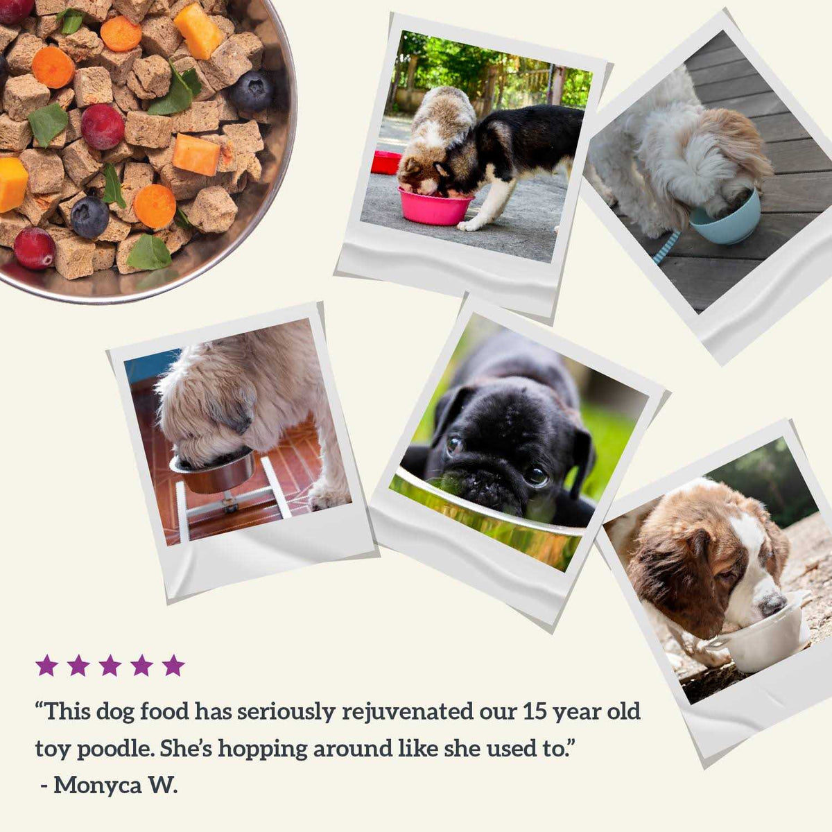 Air Dried Beef Recipe Dog Food G48716