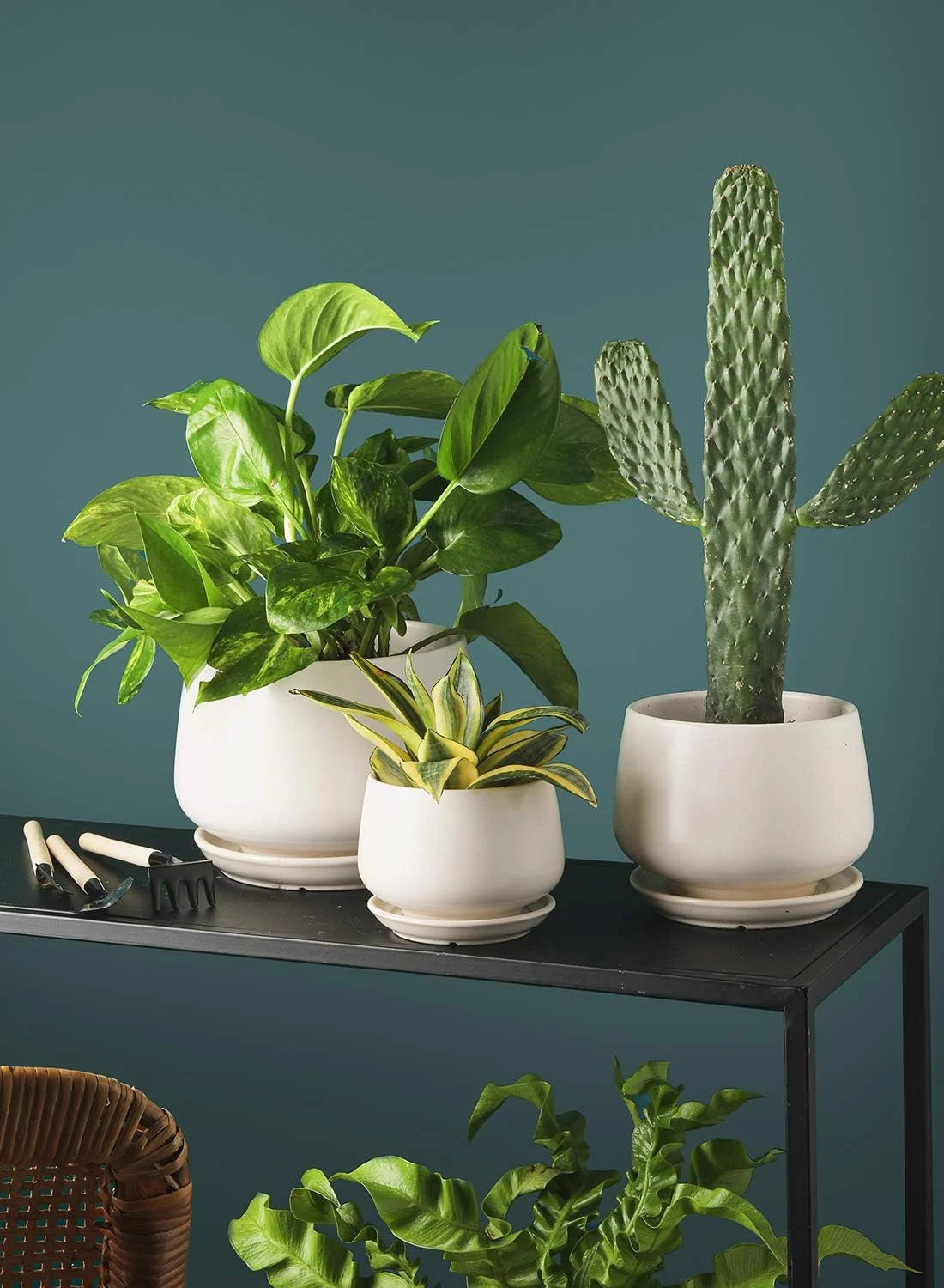 4.1+5.1+6.5 Inch Ceramic Plant Pots with Drainage Hole and Saucer, Set of 3, White F385