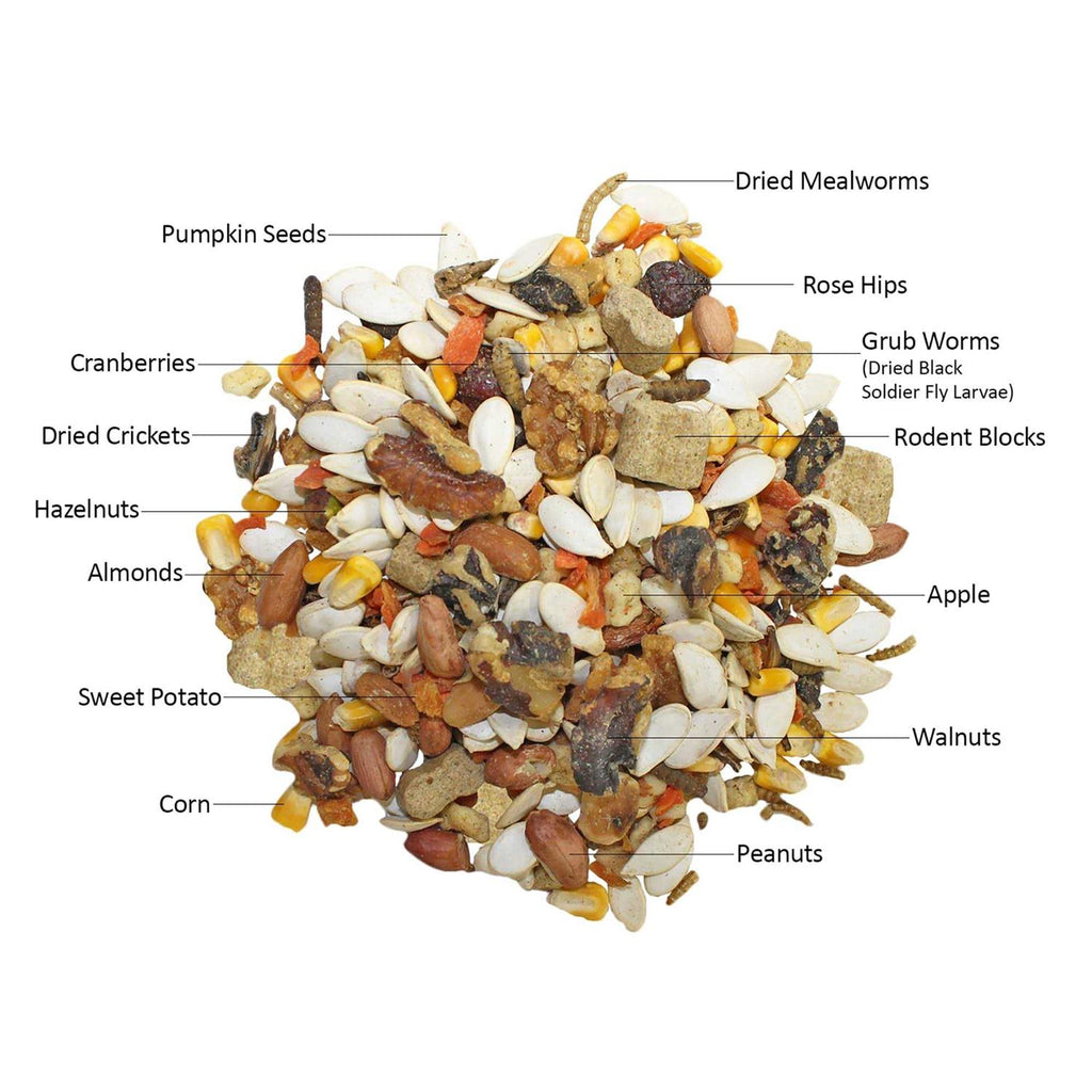 Squirrel Food Starter Package I74087