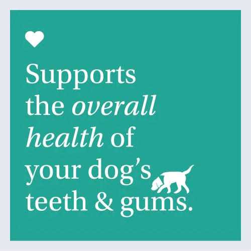 Dog Dental Formula L286142