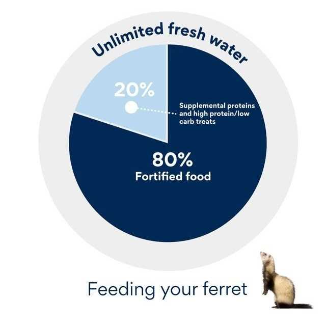 Ferret Formula Pet Supplies Q575640