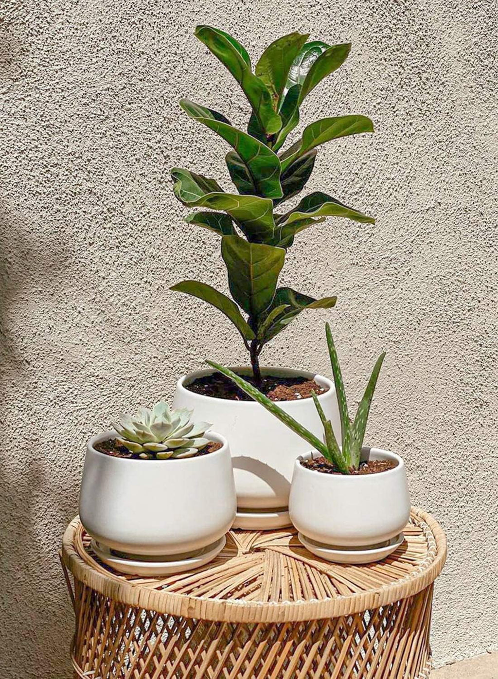 4.1+5.1+6.5 Inch Ceramic Plant Pots with Drainage Hole and Saucer, Set of 3, White F385