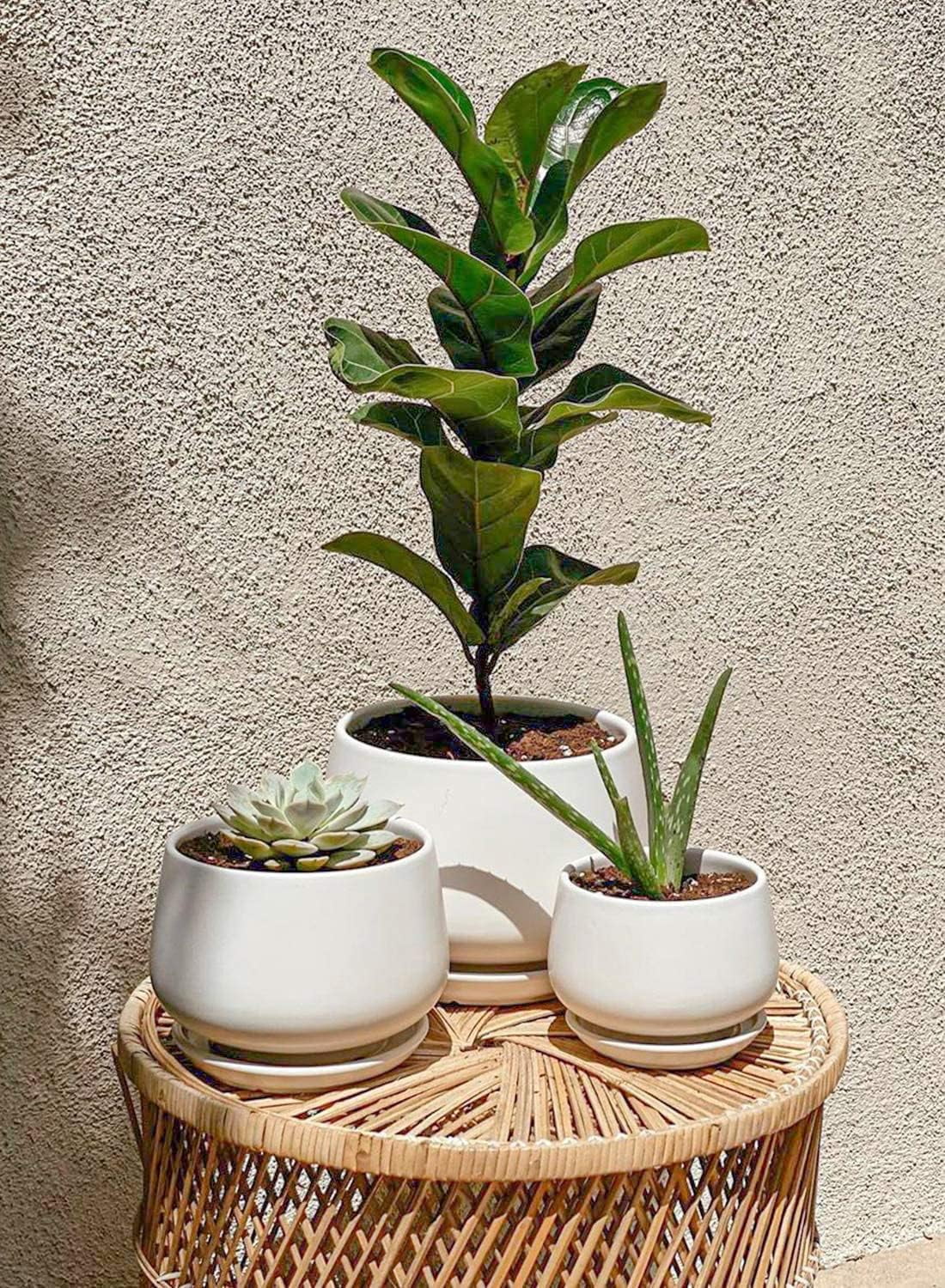 4.1+5.1+6.5 Inch Ceramic Plant Pots with Drainage Hole and Saucer, Set of 3, White F385