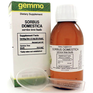 Sorbus domestica 125 ml J2573