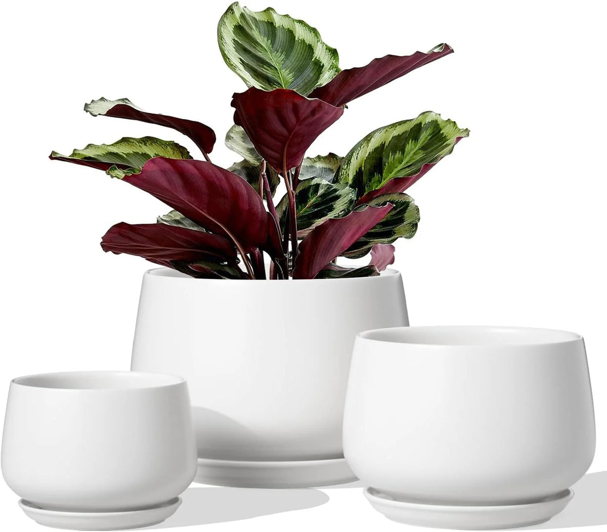 4.1+5.1+6.5 Inch Ceramic Plant Pots with Drainage Hole and Saucer, Set of 3, White F385