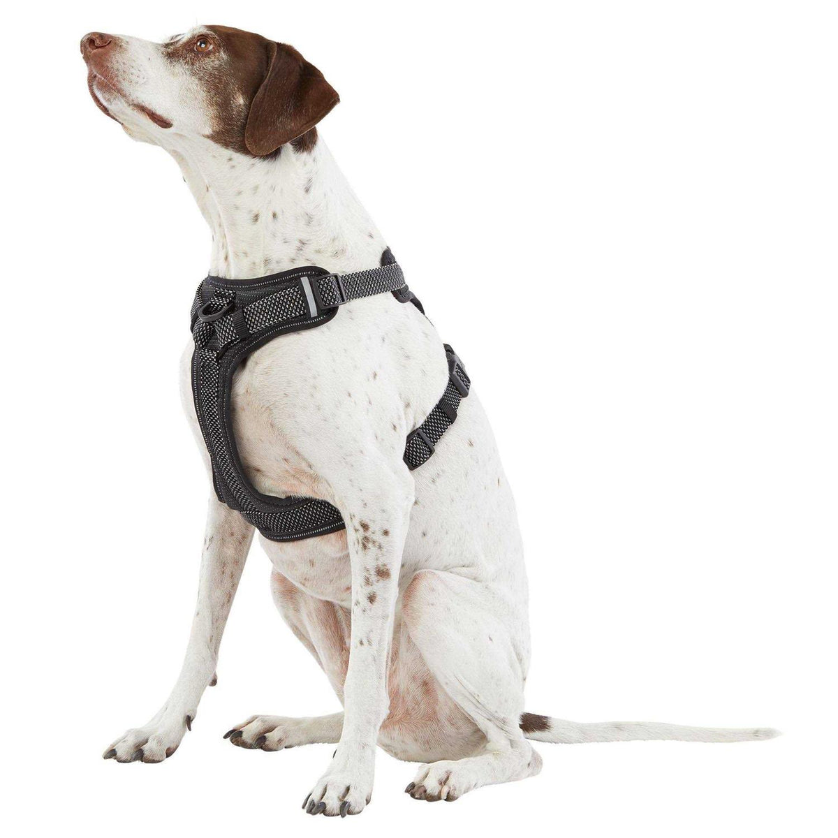 Reflective Dog Harness Z74533
