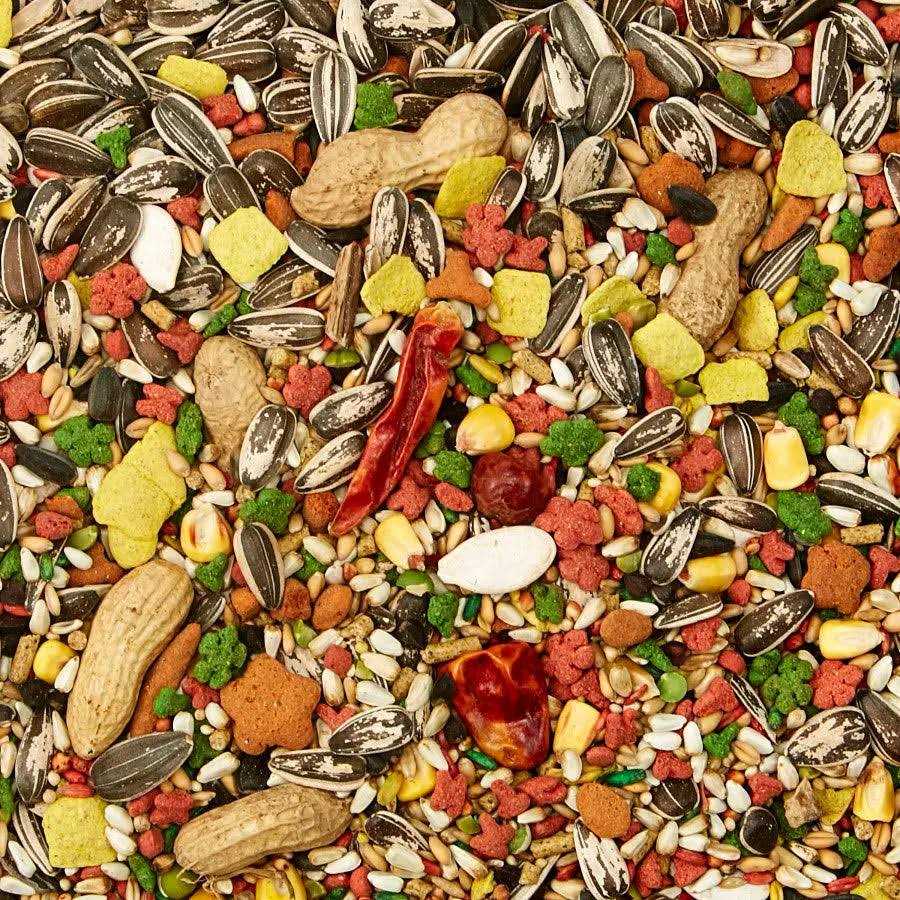 Parrot Food S2793