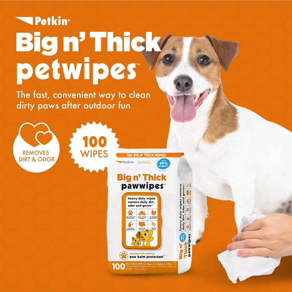Pet Wipes 100 R1609
